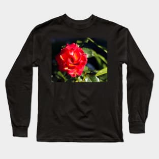 Glowing bright red rose Long Sleeve T-Shirt